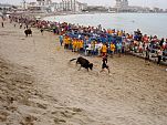 Fiestas Patronales de Peñíscola (Septiembre). Vaquillas en la playa