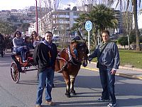 Programa Festividad de Sant Antoni. Del 12 al 20 de Enero de 2008